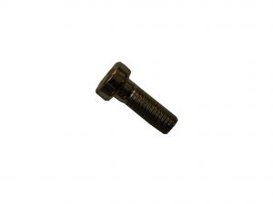 Cylinder bolt